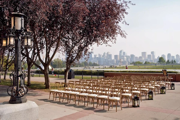 Ceremony chairs with beige cushions arranged in rows, squashed together for quick setup, outdoors near greenery and an open walkway